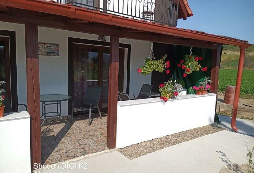 בית מלון כפרי Agropensiunea Răzvan