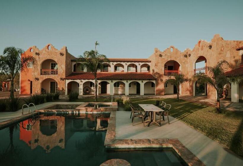 酒店 Hacienda Los Olivos, Valle De Guadalupe