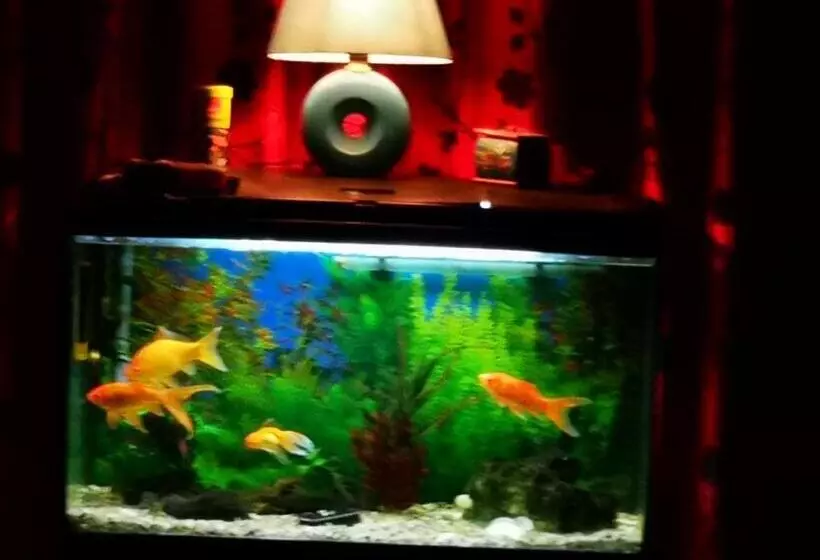 ペンション Casa Harpes