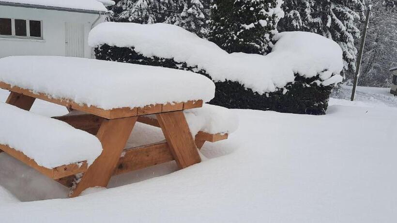 膳宿费 L Ecureuil