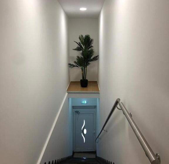 הוסטל Marqueses De Ferreira