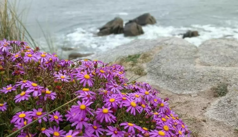 Aamiaismajoitus (B&B) Les Chambres De Kerchelgen