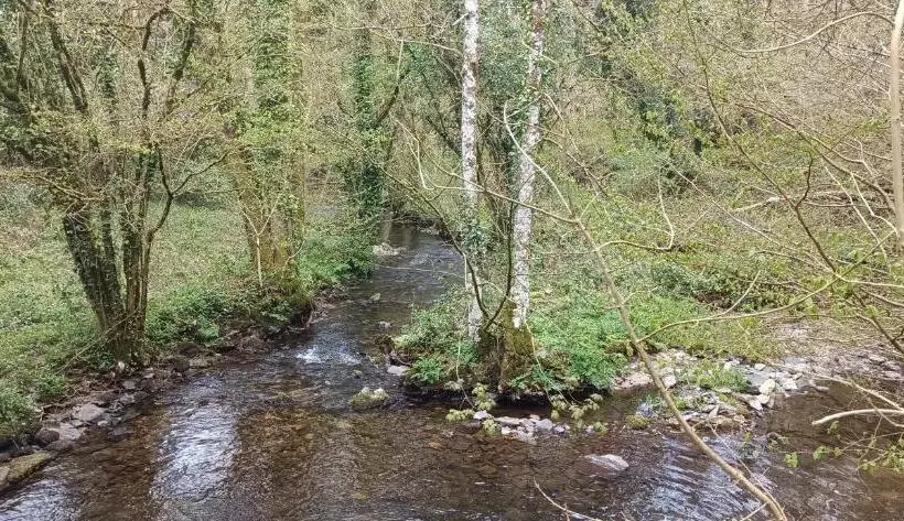 Aamiaismajoitus (B&B) Les Chambres De Kerchelgen