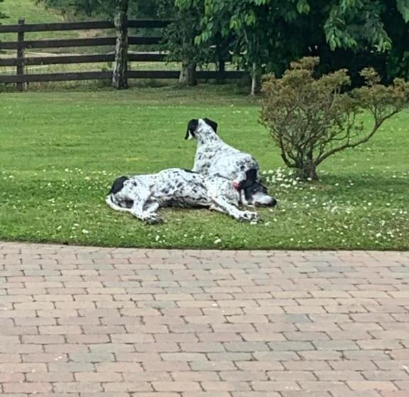 ベッドアンドブレックファースト Windyridge