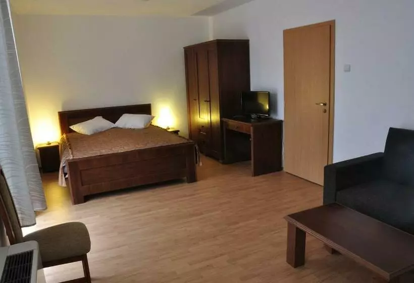 ホテル Oras Zlatna