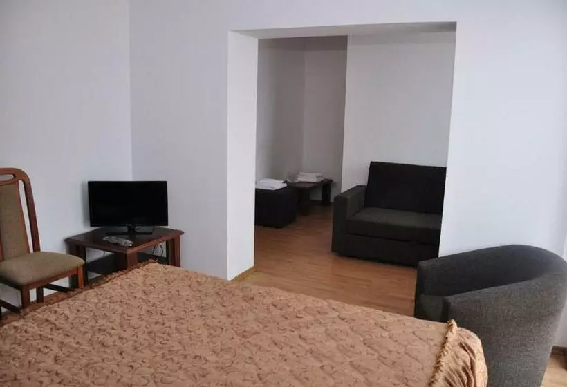 ホテル Oras Zlatna