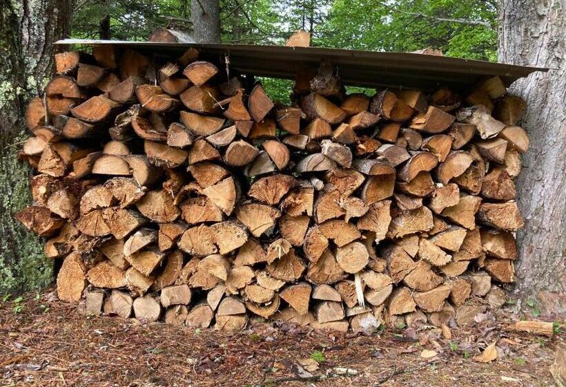 The Lorca Adirondacks Motel