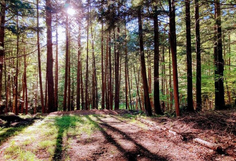 The Lorca Adirondacks Motel