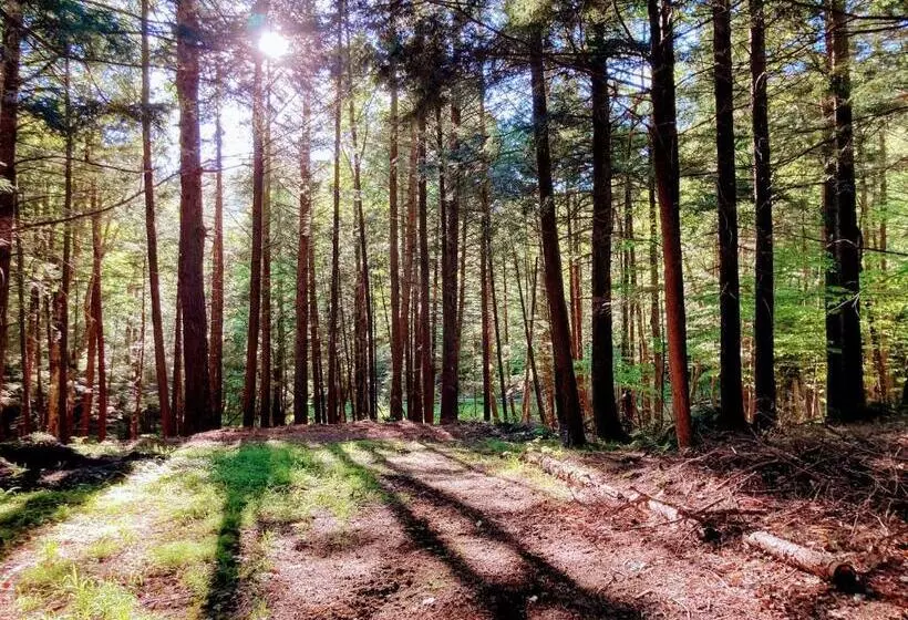 The Lorca Adirondacks Motel