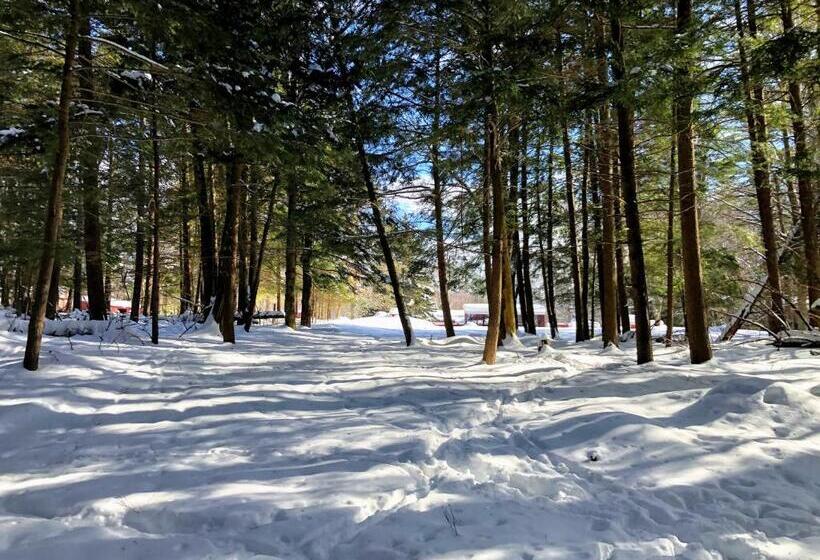 The Lorca Adirondacks Motel