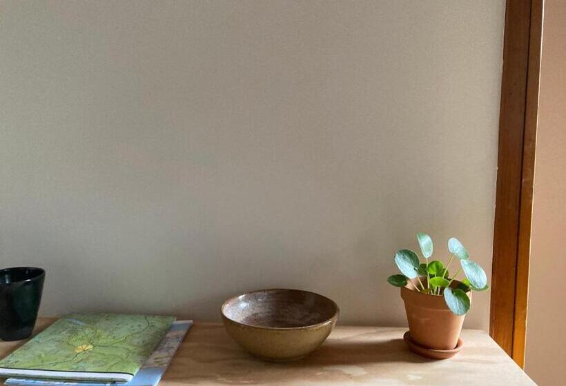 The Lorca Adirondacks Motel