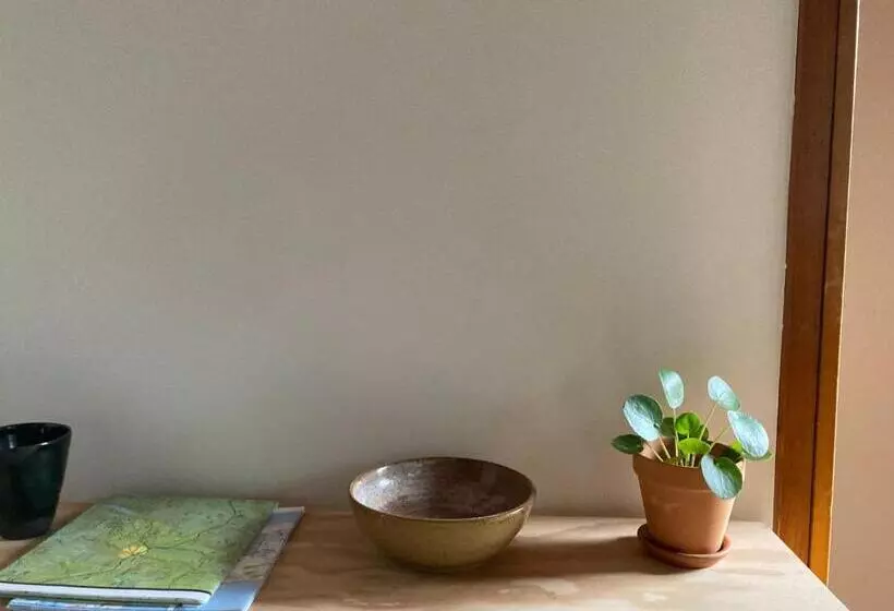 The Lorca Adirondacks Motel