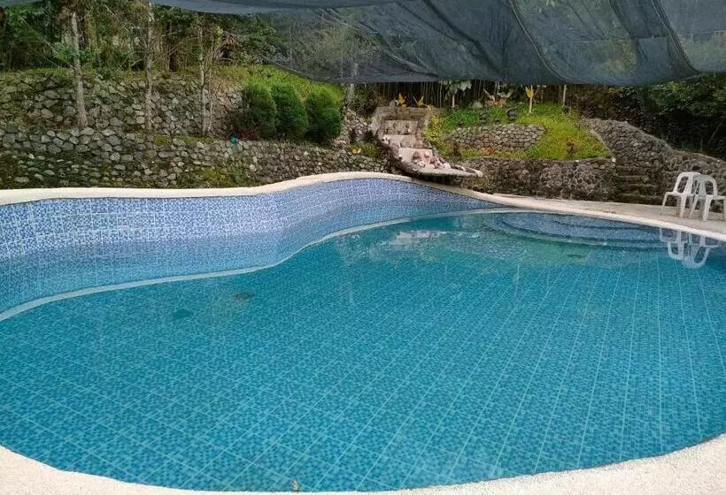 Aamiaismajoitus (B&B) Reel Place