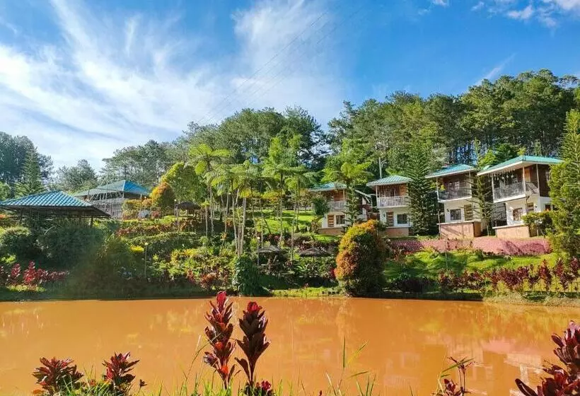 Aamiaismajoitus (B&B) Reel Place