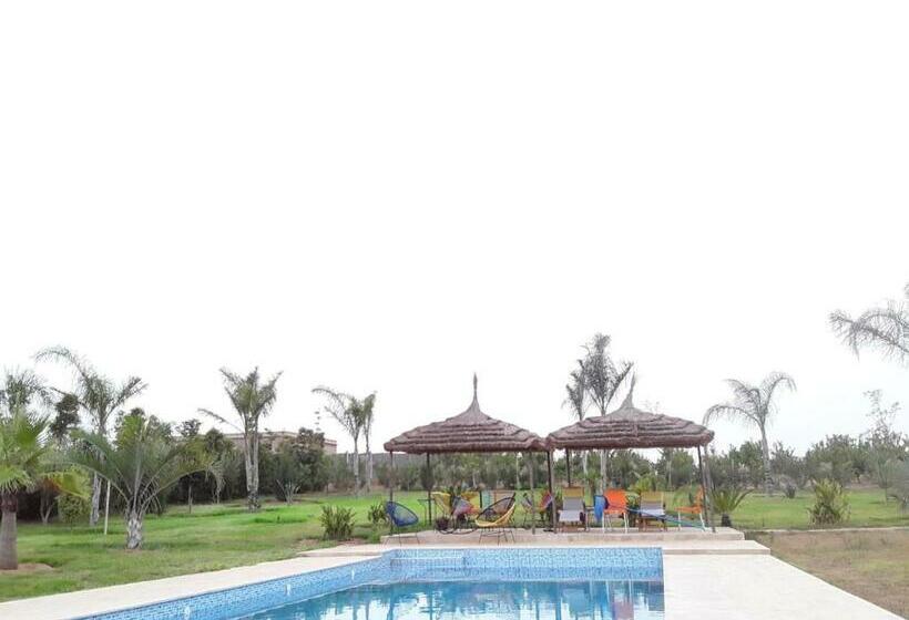 Отель Aux Deux Dauphins