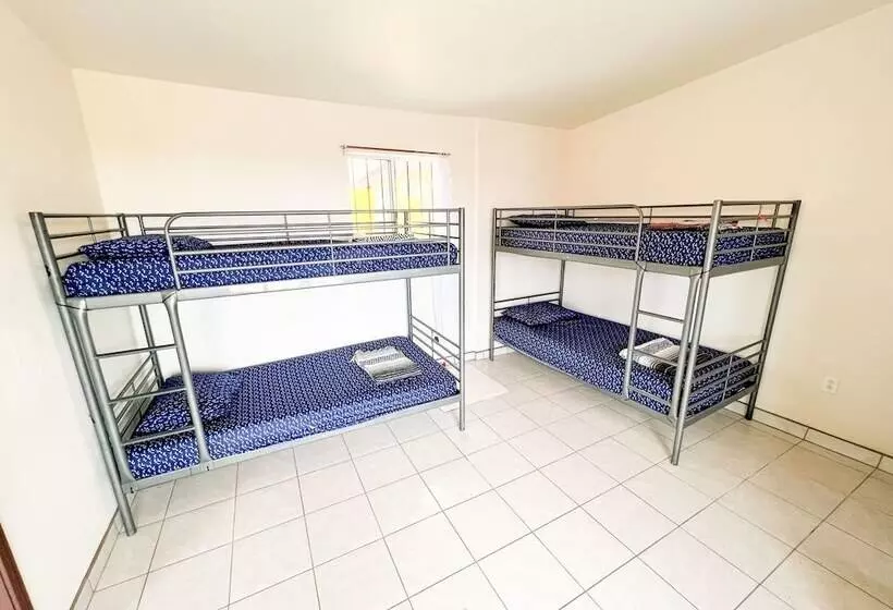 Ith Lazy Lobster Surf Hostel