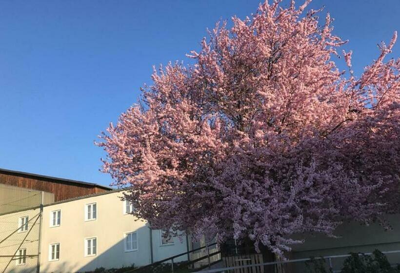 Landpension Gschwantner