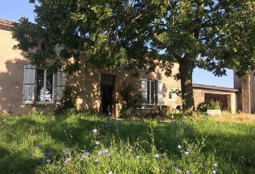 ペンション Chambres D Hôtes Les Pieds Dans L Herbe