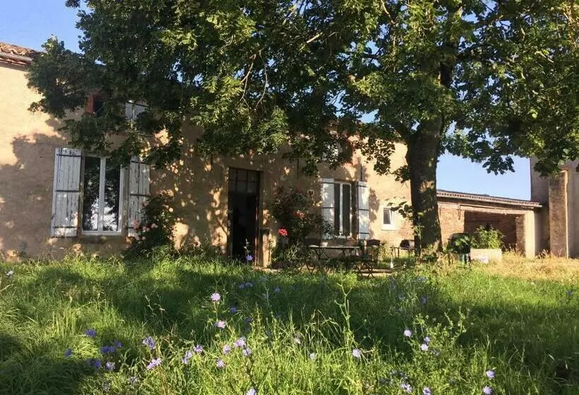 ペンション Chambres D Hôtes Les Pieds Dans L Herbe