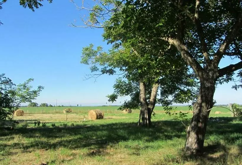 ペンション Chambres D Hôtes Les Pieds Dans L Herbe
