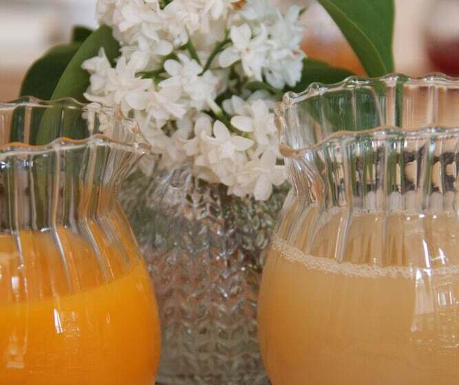 膳宿费 Le Clos 24