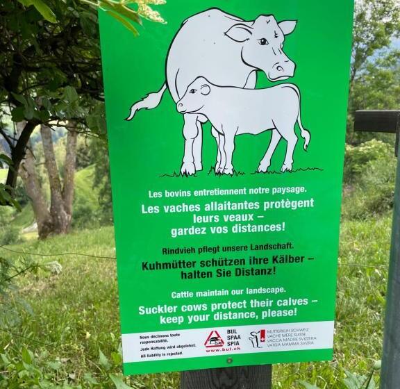 住宿加早餐  Gasthaus Beverin