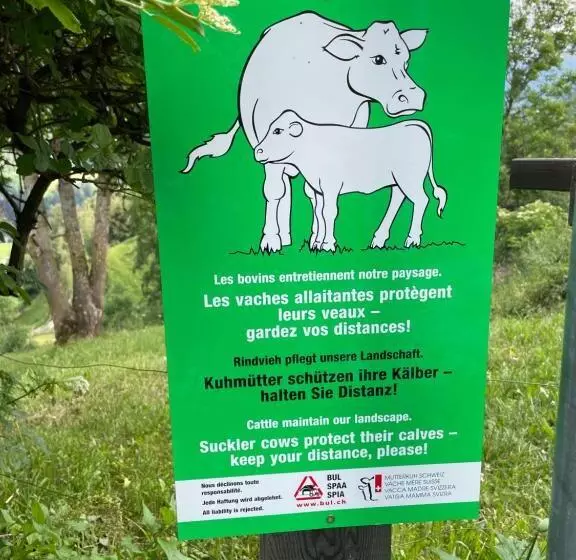 ベッドアンドブレックファースト Gasthaus Beverin