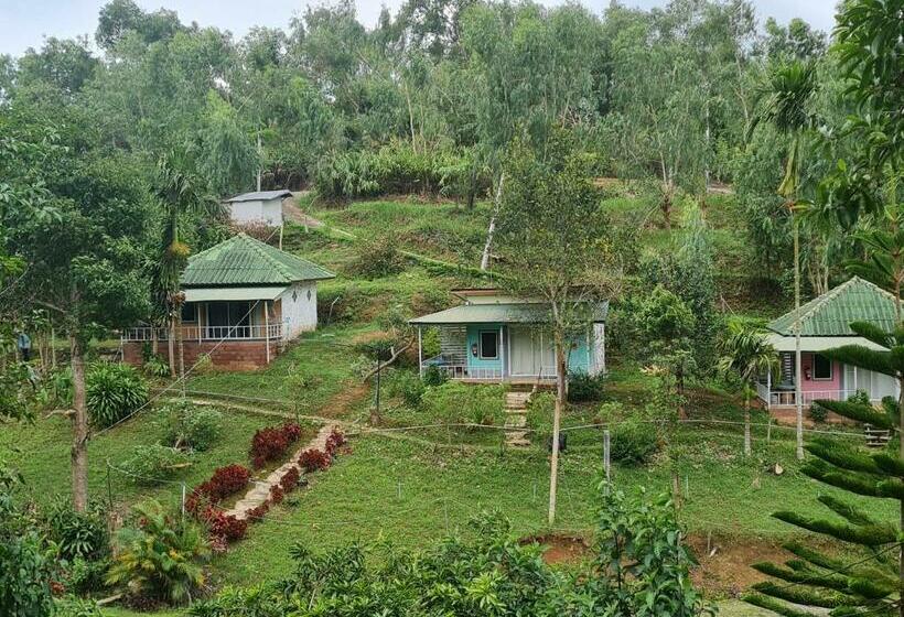 Bed and Breakfast Phumarnfah Resort ภูม่านฟ้า