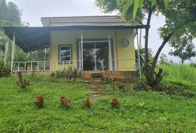 Bed and Breakfast Phumarnfah Resort ภูม่านฟ้า