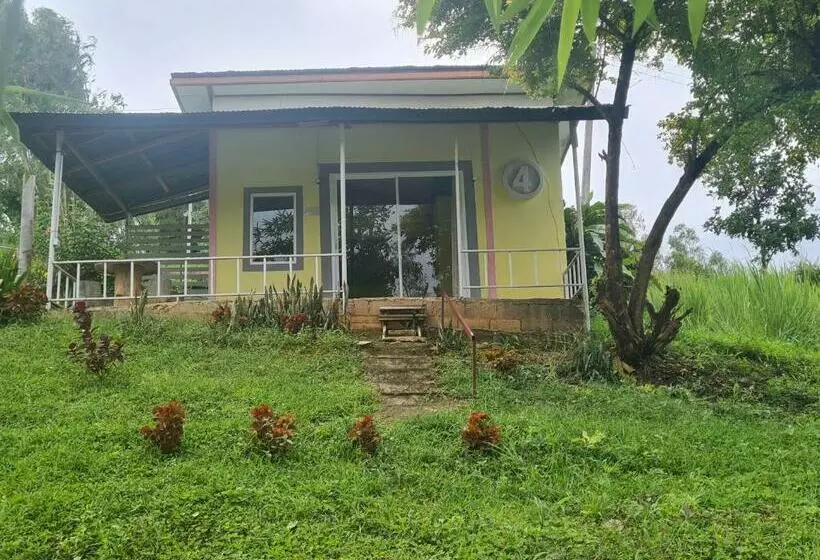 ベッドアンドブレックファースト Phumarnfah Resort ภูม่านฟ้า