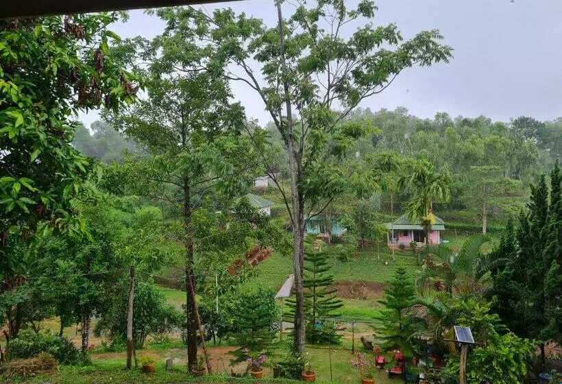 ベッドアンドブレックファースト Phumarnfah Resort ภูม่านฟ้า