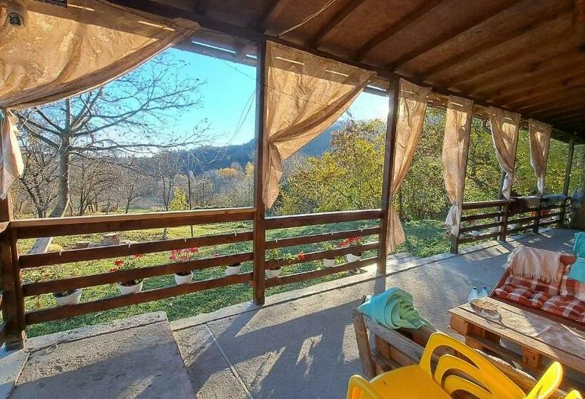 Pensiunea Poiana Marului Bisoca