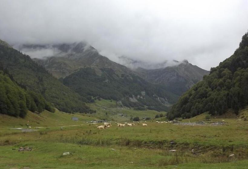 Brit Hotel Essentiel Pau Lescar