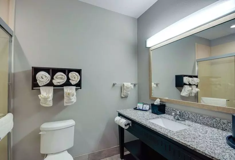 酒店 Best Western Casino Inn