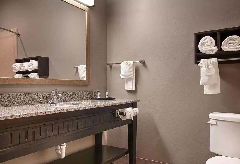 酒店 Best Western Casino Inn