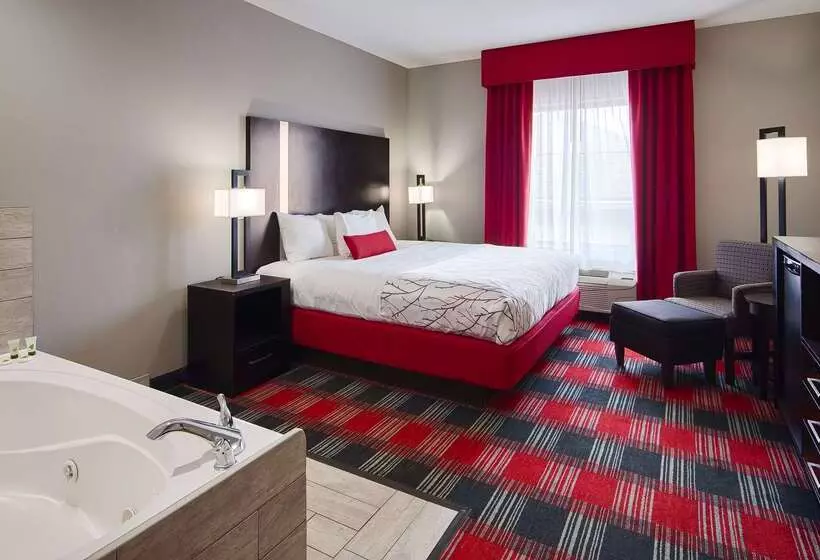 酒店 Best Western Casino Inn