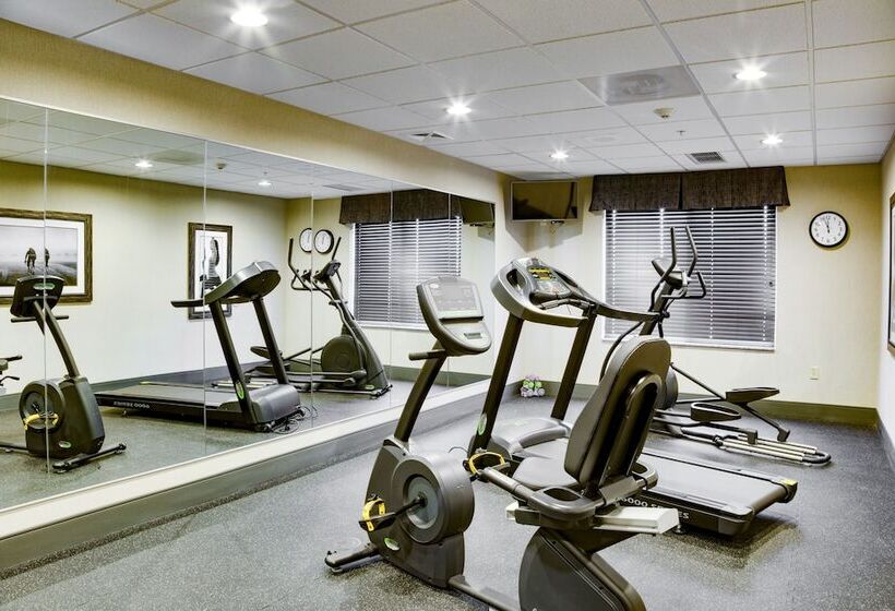 酒店 Holiday Inn Express & Suites Nevada, An Ihg