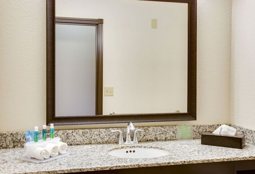 酒店 Holiday Inn Express & Suites Nevada, An Ihg