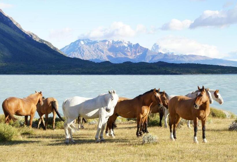 فندق Hosteria Helsingfors