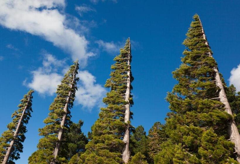 فندق Hosteria Helsingfors