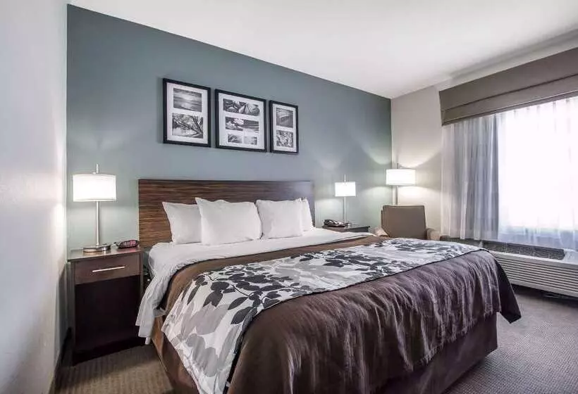 ホテル Sleep Inn & Suites