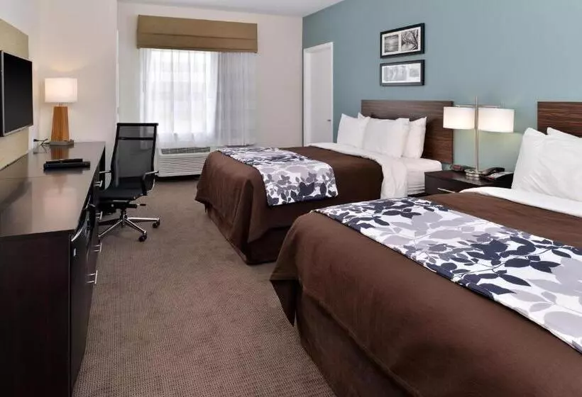 ホテル Sleep Inn & Suites