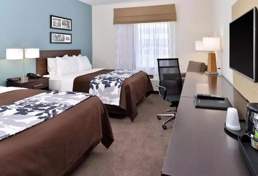 ホテル Sleep Inn & Suites
