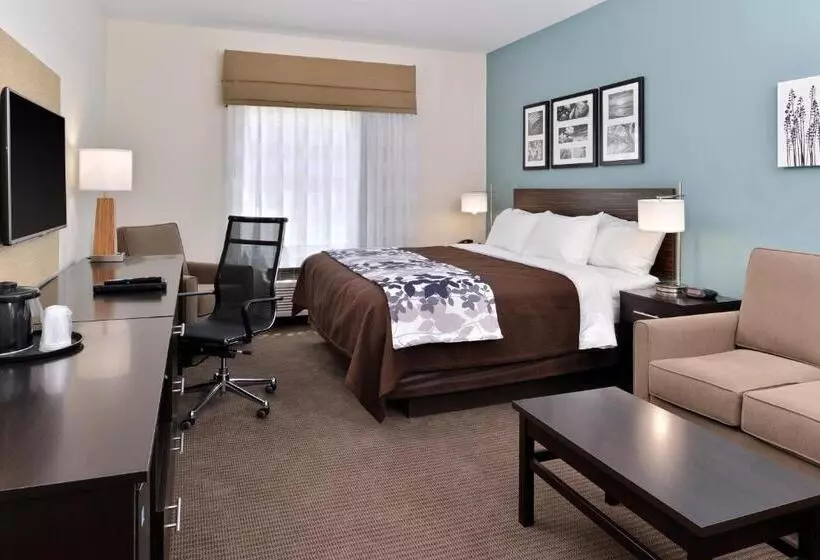 ホテル Sleep Inn & Suites