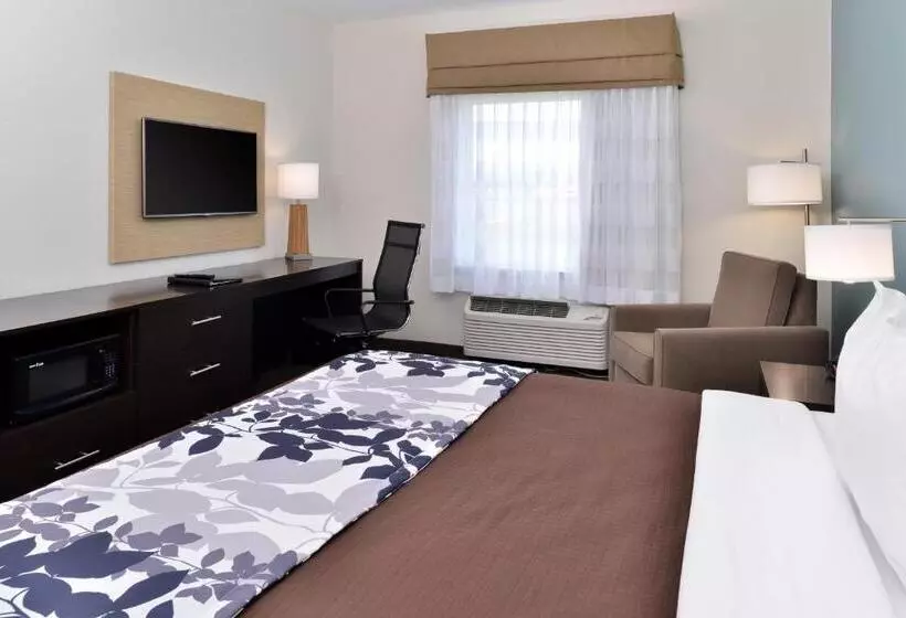 ホテル Sleep Inn & Suites