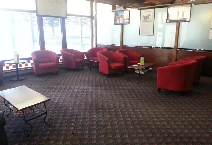 مُتل Grand Tasman