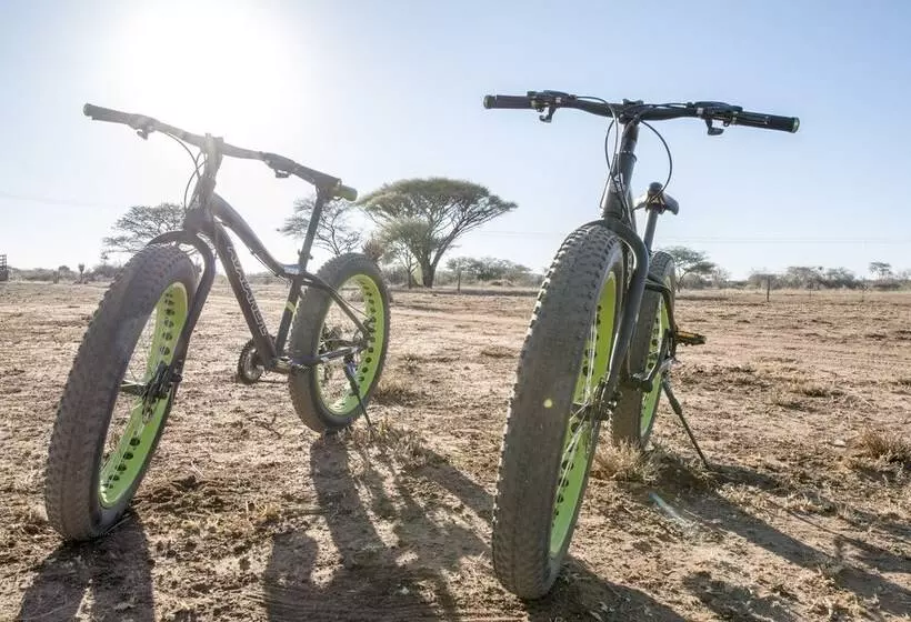 پانسیون Dornhügel Guestfarm