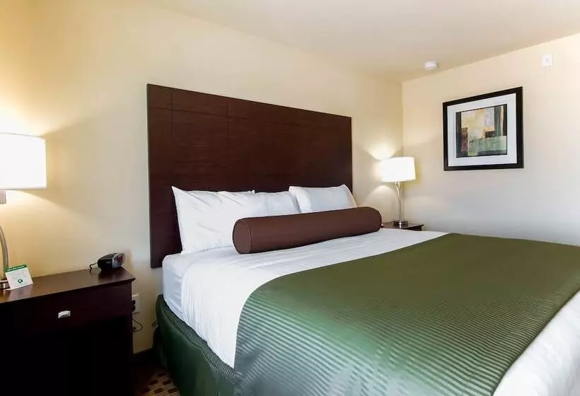 Отель Cobblestone Inn & Suites   Eads