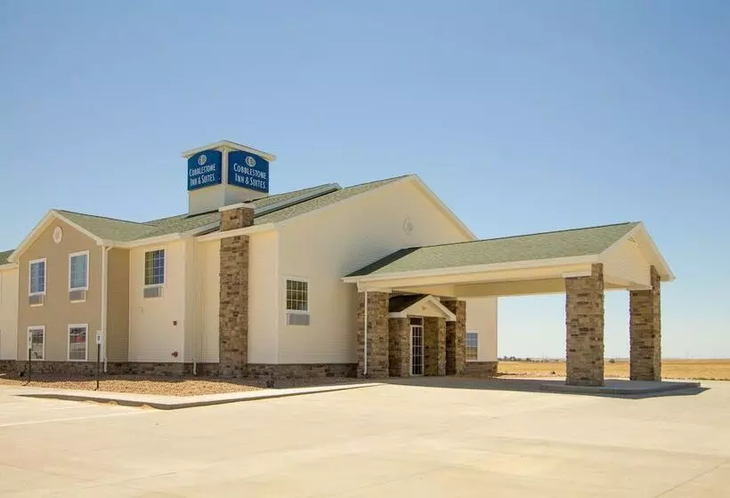 Отель Cobblestone Inn & Suites   Eads