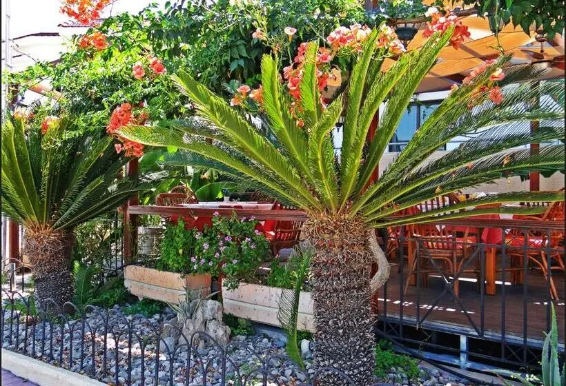هتل Kalathos Sun